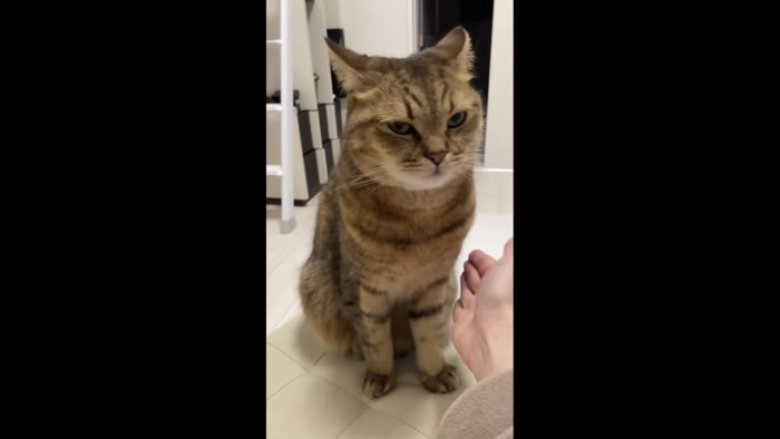 表情で拒否するみにら君