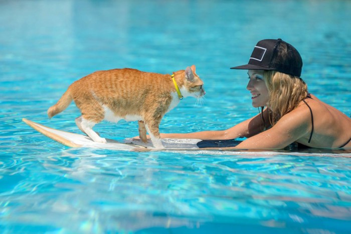 サーフィン猫と女性