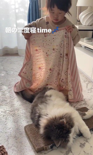 ブランケットを持ち上げる子どもと寝ている猫