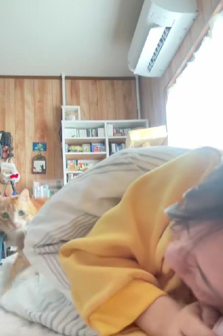飼い主を起こす猫