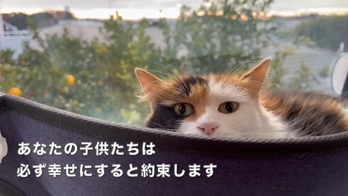 テロップ「あなたの子供たちは～」