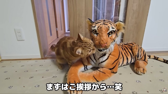 テロップ「まずは~」