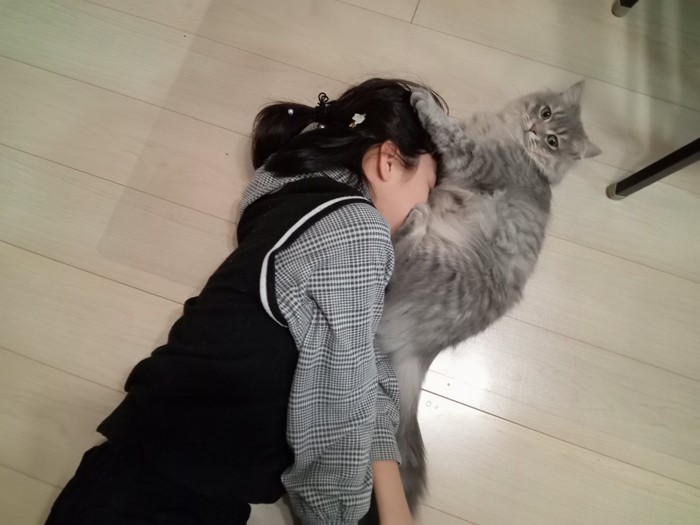 猫のお腹に顔を埋める女の子