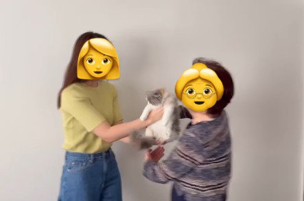 猫を抱っこするおばあちゃん