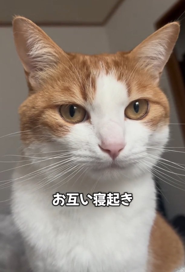 目がうつろなツナちゃん