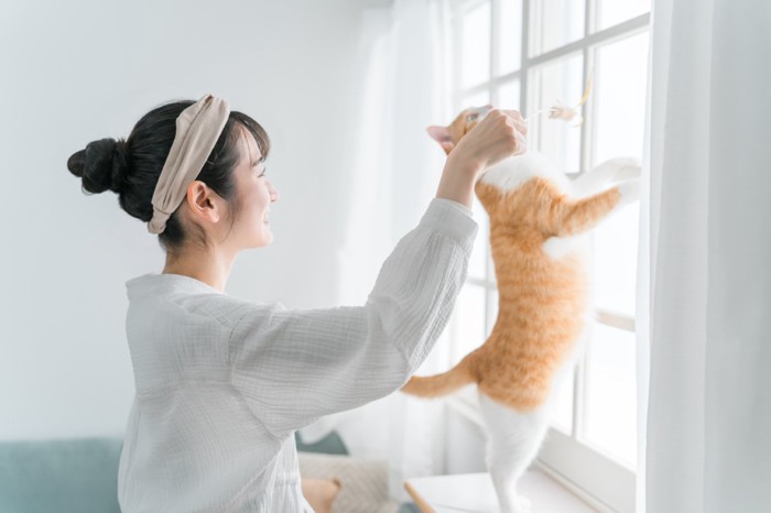 猫じゃらしに食いつく猫