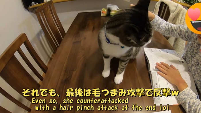 最後は毛つまみ攻撃