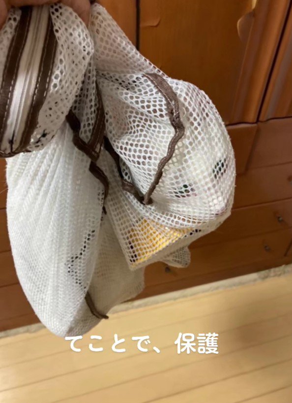 洗濯ネットの中の白猫