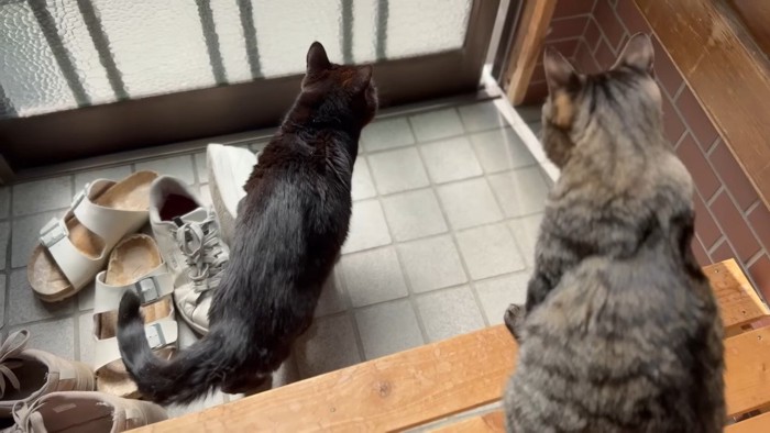 戸を見つめるふたり