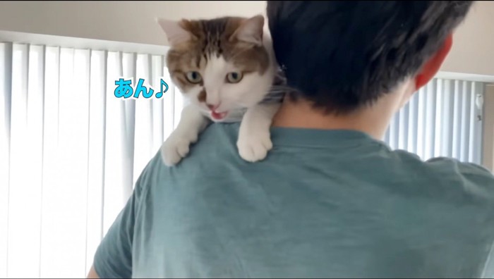 男性の肩に抱っこされて鳴き声を上げる2本足の猫