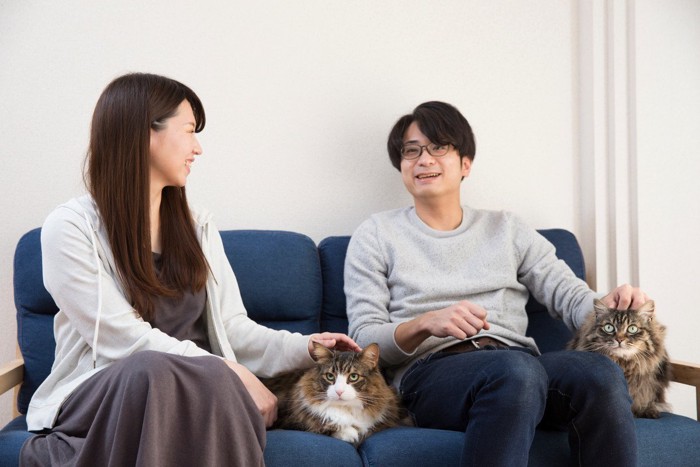 ハートを持つ猫