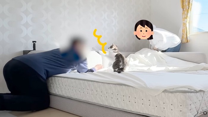 パパさんへ左前足を伸ばす猫ちゃん