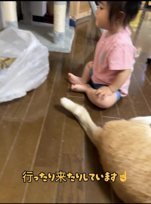 床で寝る猫と赤ちゃん