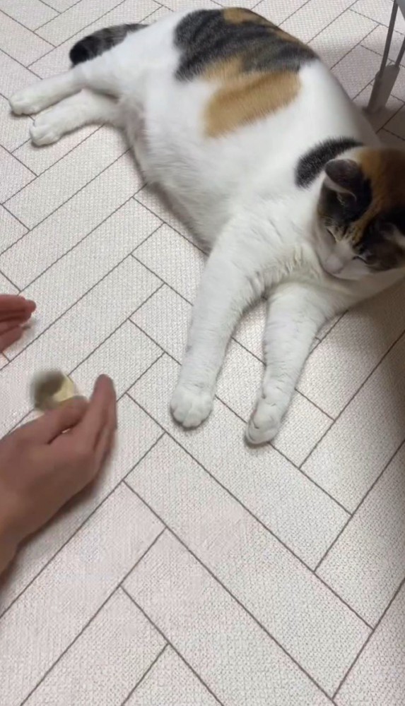 両手で物をシャカシャカ左右に振る