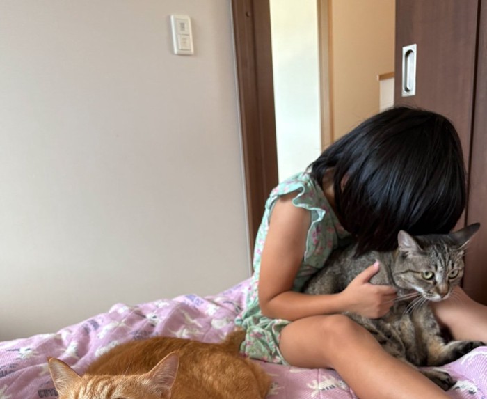 吸われる猫