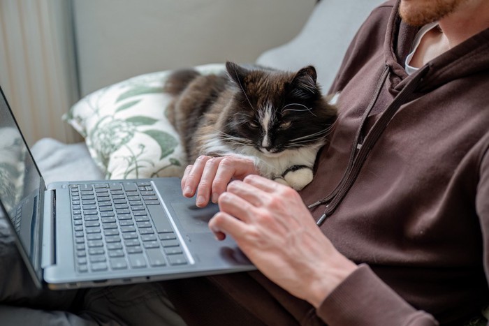 パソコンをいじる男性と猫