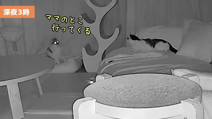 ママのとこ行ってくる