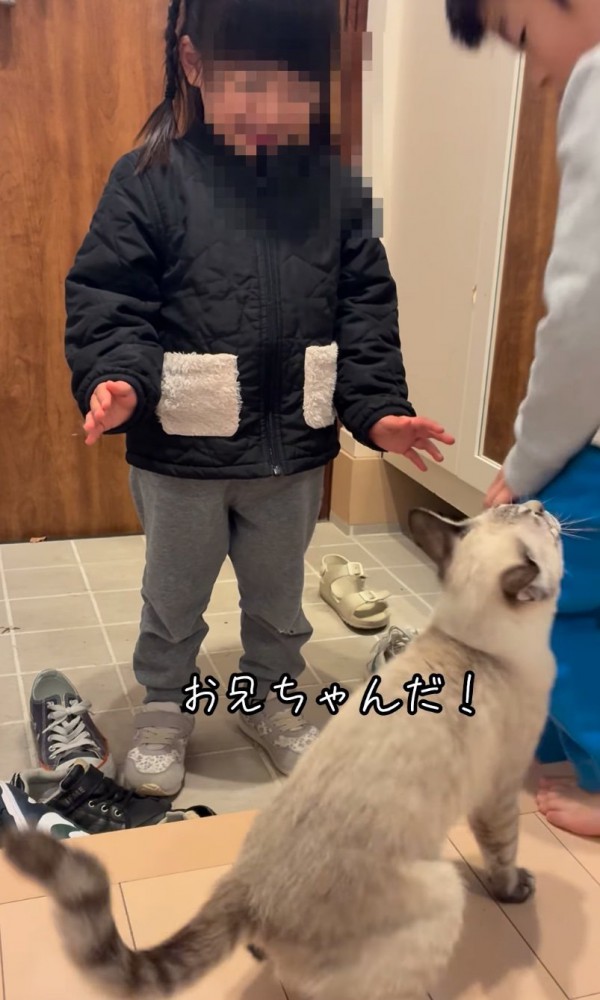 お兄ちゃんがやって来た