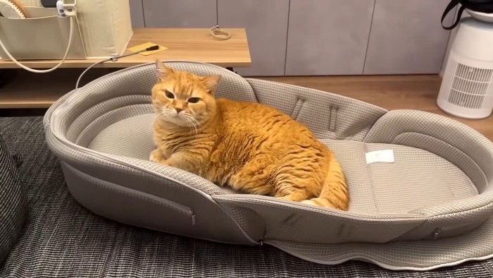 赤ちゃん用ベッド