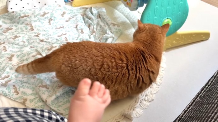 立ち上がった後ろ姿