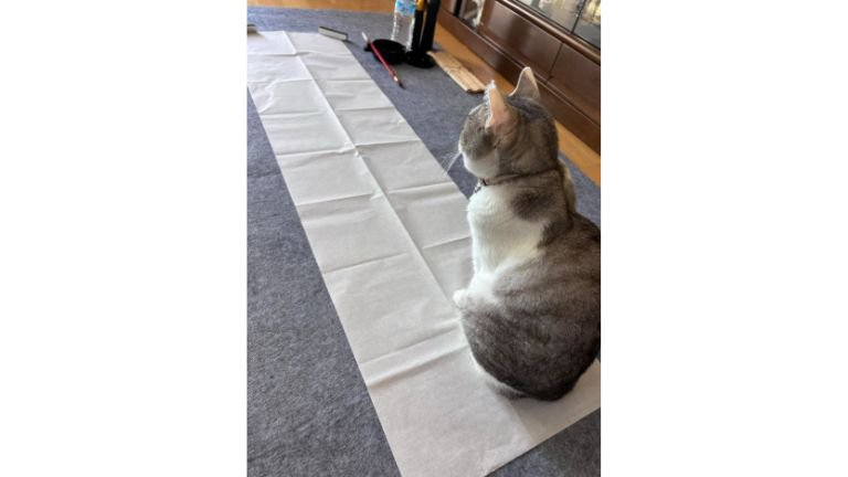 書道の紙と猫