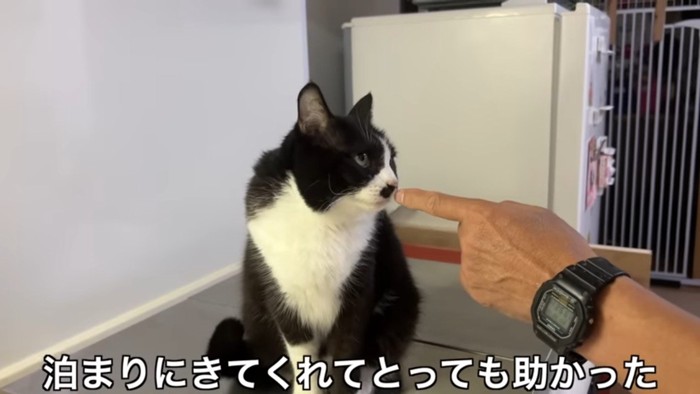 指を差し出して