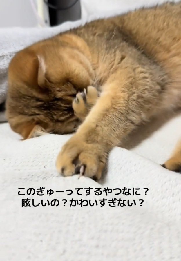 手で目を押さえるがんもどきくん