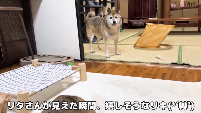 うれしそうなリキくん