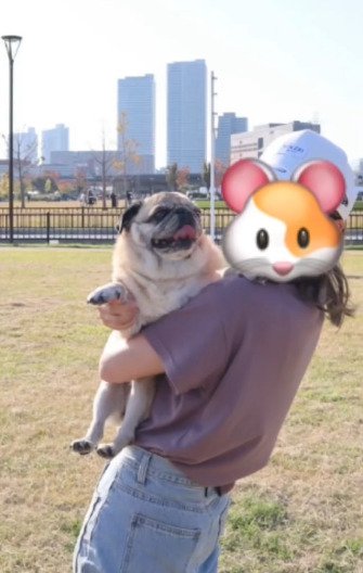 犬を抱っこする飼い主