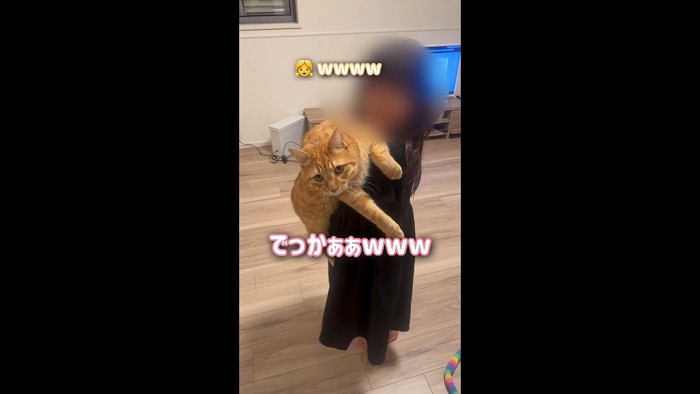 でっかぁぁ