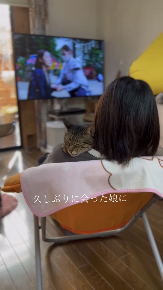 人の肩で寝る猫