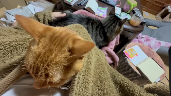 月ちゃんと空くん