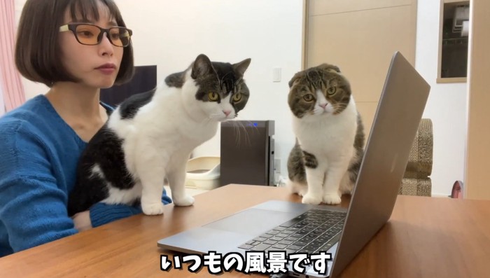 いつもの風景です