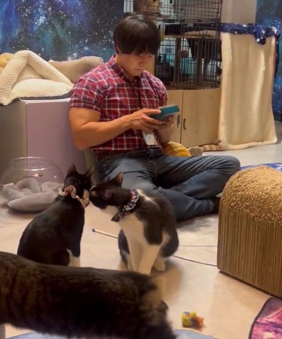 青木マッチョさんと猫たち