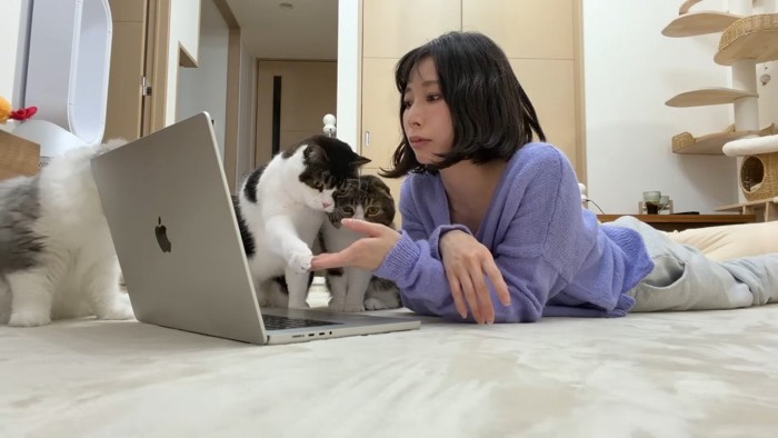 うま次郎くんとタッチ