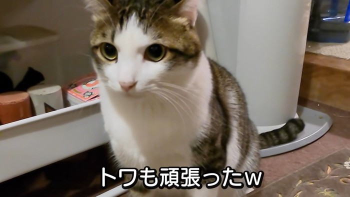 トワも頑張ったｗ