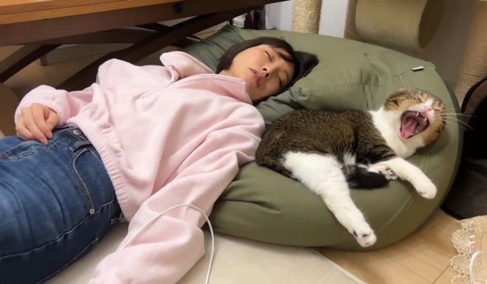 眠る女性の横で大あくびする猫