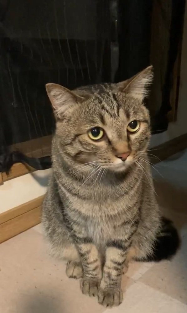 チラ見するルイくん