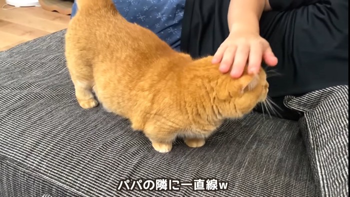 パパの隣に