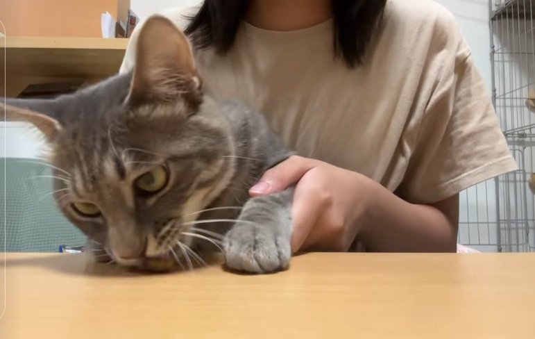 おやつを食べるスピカちゃん