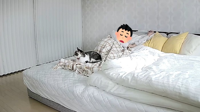 添い寝
