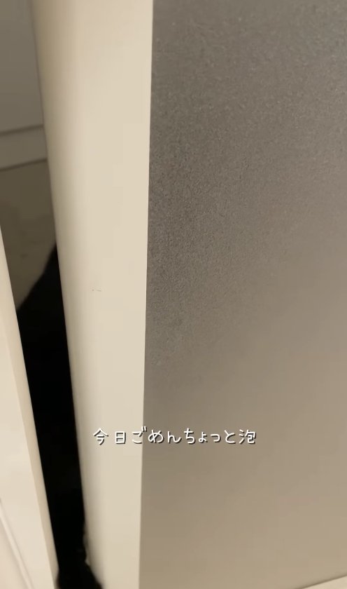 ドアの隙間に入れられている黒猫の手