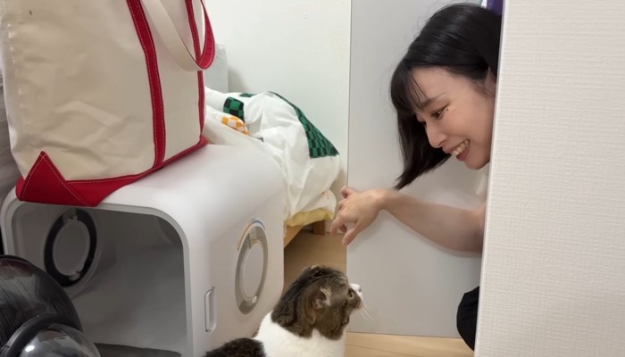 登場するママさん