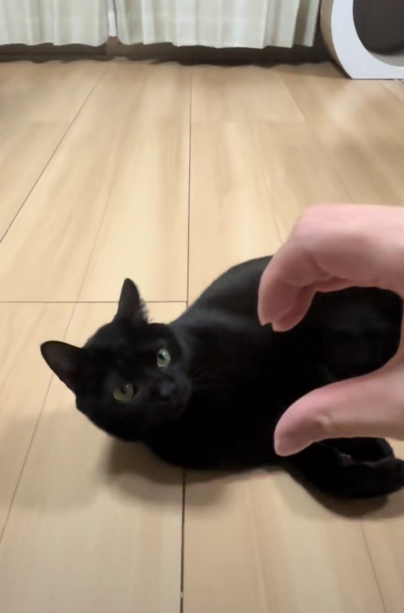 手で作った半分ハートと虎徹くん