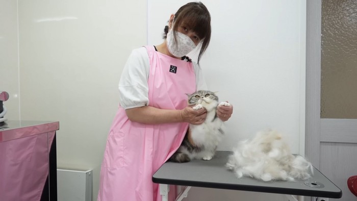 前足を持たれる猫