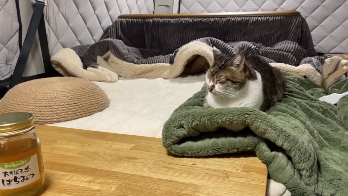 寝ているマサくんの様子