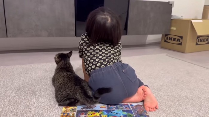 女の子とテレビを見るキジトラ猫