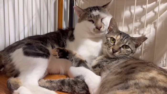 抱きしめ合う子たち