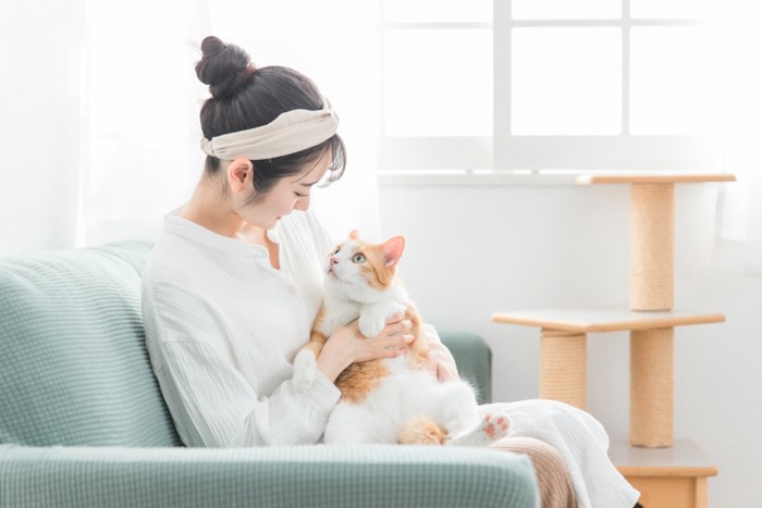 ソファに座り猫を抱っこする女性