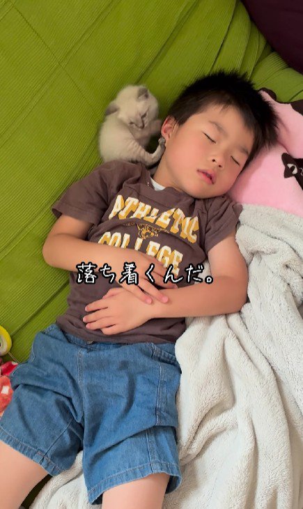 寝ている男の子と子猫